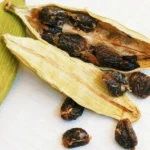 E for Elaichi | A to Z of Indian Foods